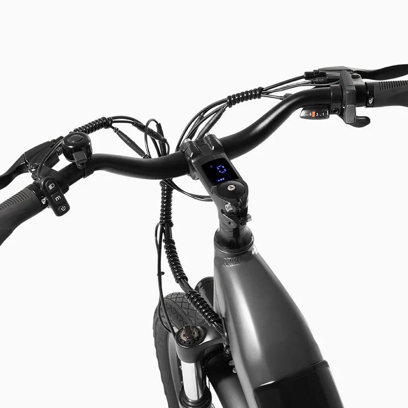 Bicicletta Elettrica da Città DYU C1 26 Pollici 4