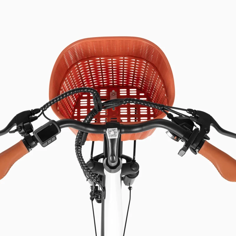 Bicicletta Elettrica da Città DYU C6 Pro 26 Pollici 7