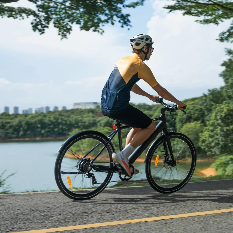 Bicicletta Elettrica da Città DYU Stroll 1 700C 13