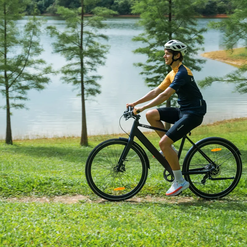 Bicicletta Elettrica da Città DYU Stroll 1 700C 15