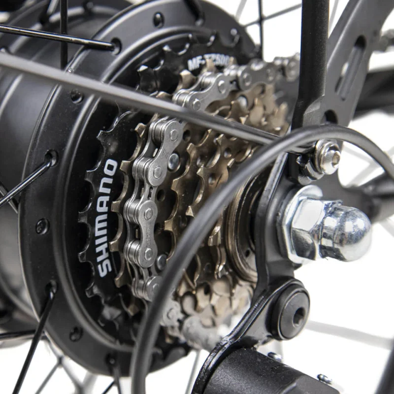 Bicicletta Elettrica da Città DYU C6 26 Pollici 7