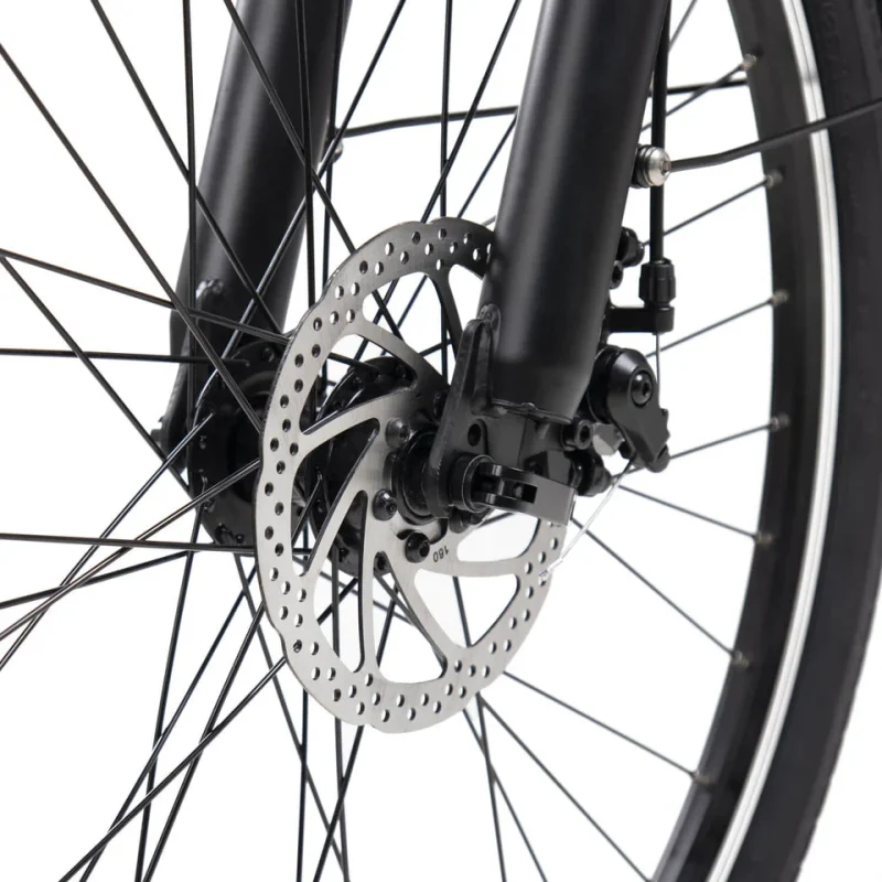 Bicicletta Elettrica da Città DYU C6 26 Pollici 9