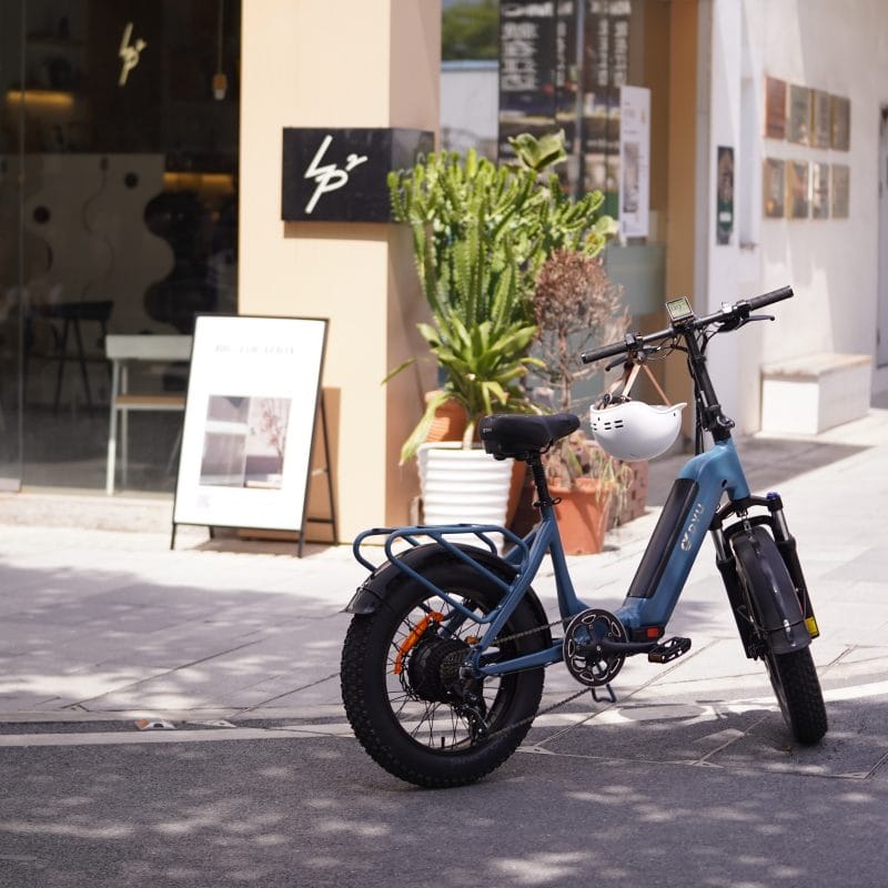 Bicicletta Elettrica con Pneumatici Larghi DYU FF500 20 Pollici 8