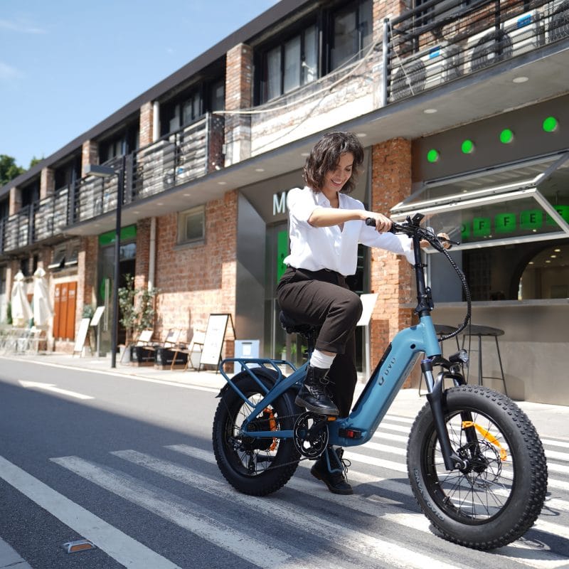 Bicicletta Elettrica con Pneumatici Larghi DYU FF500 20 Pollici 10