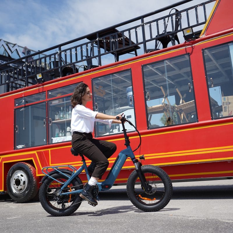 Bicicletta Elettrica con Pneumatici Larghi DYU FF500 20 Pollici 11
