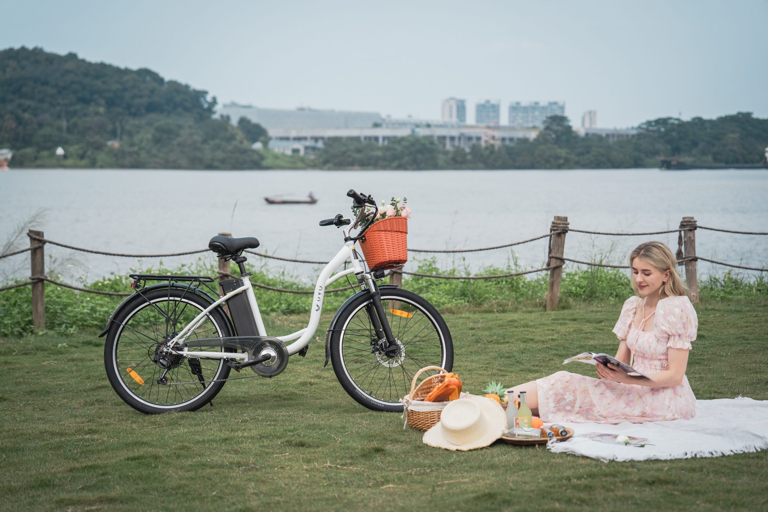 Bici Elettrica Pieghevole DYU C6