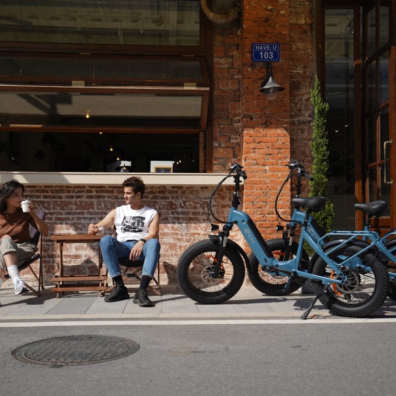 Bicicletta Elettrica con Pneumatici Larghi DYU FF500 20 Pollici 12