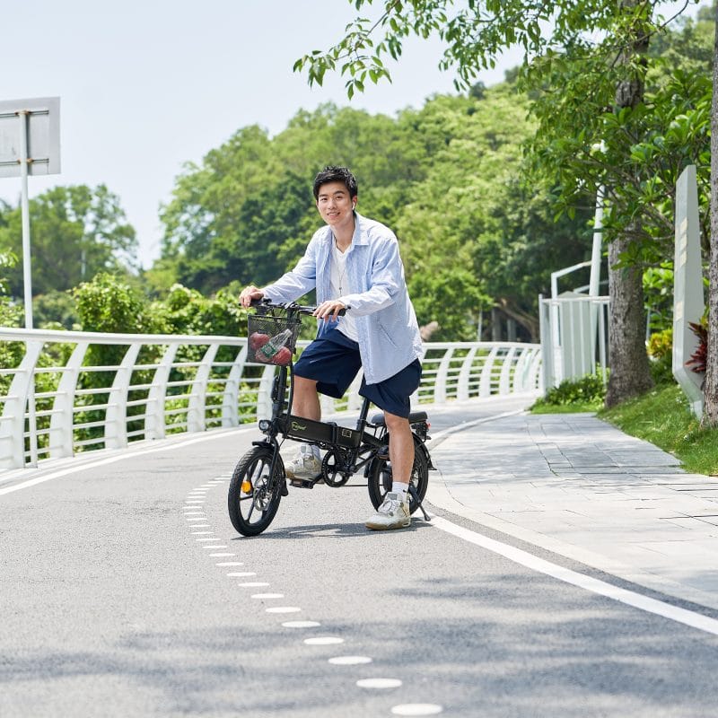 Bicicletta Elettrica Completamente Pieghevole DYU A1F 16 Pollici 10