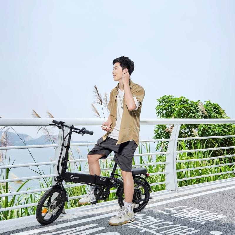 Bicicletta Elettrica Completamente Pieghevole DYU A1F 16 Pollici 11