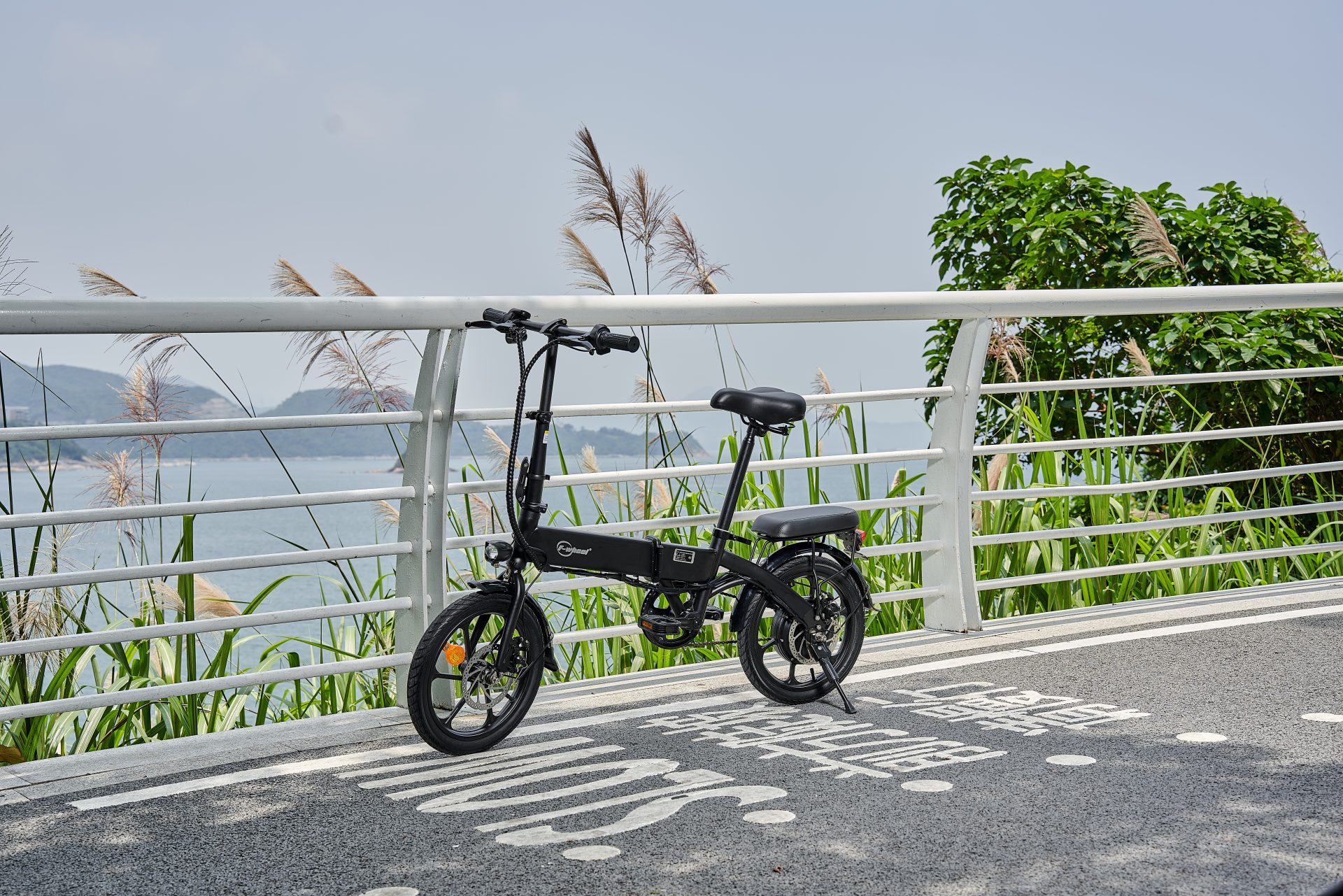 Pendolare in e-bike pieghevole