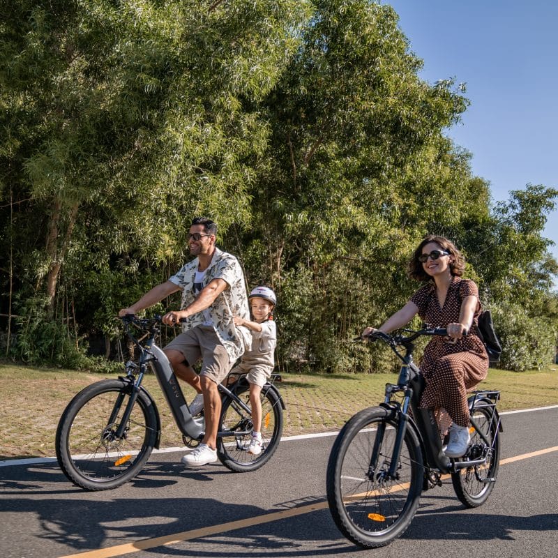 Bicicletta Elettrica da Città DYU C1 26 Pollici 9