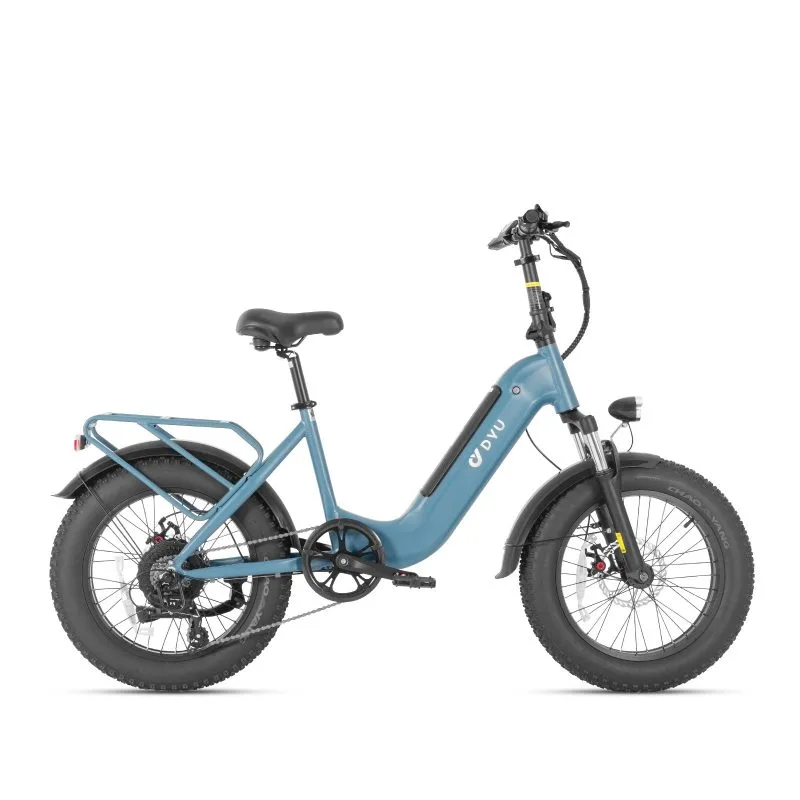 Bicicletta Elettrica con Pneumatici Larghi DYU FF500 20 Pollici
