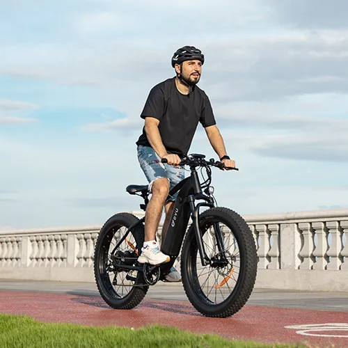 Ebike con Pneumatici Grassi
