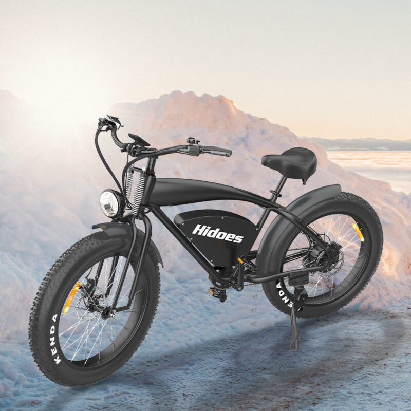 Bicicletta Elettrica Hidoes B3 2