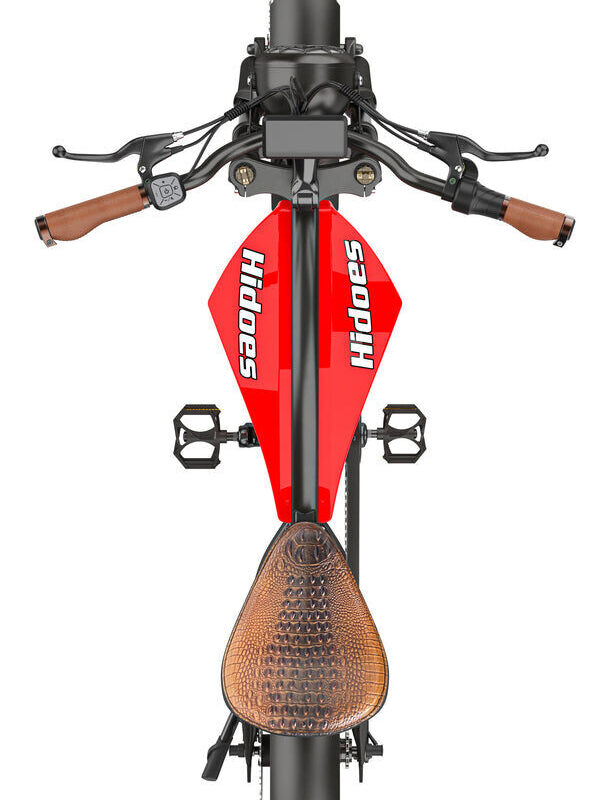 Bicicletta Elettrica Hidoes B10 7