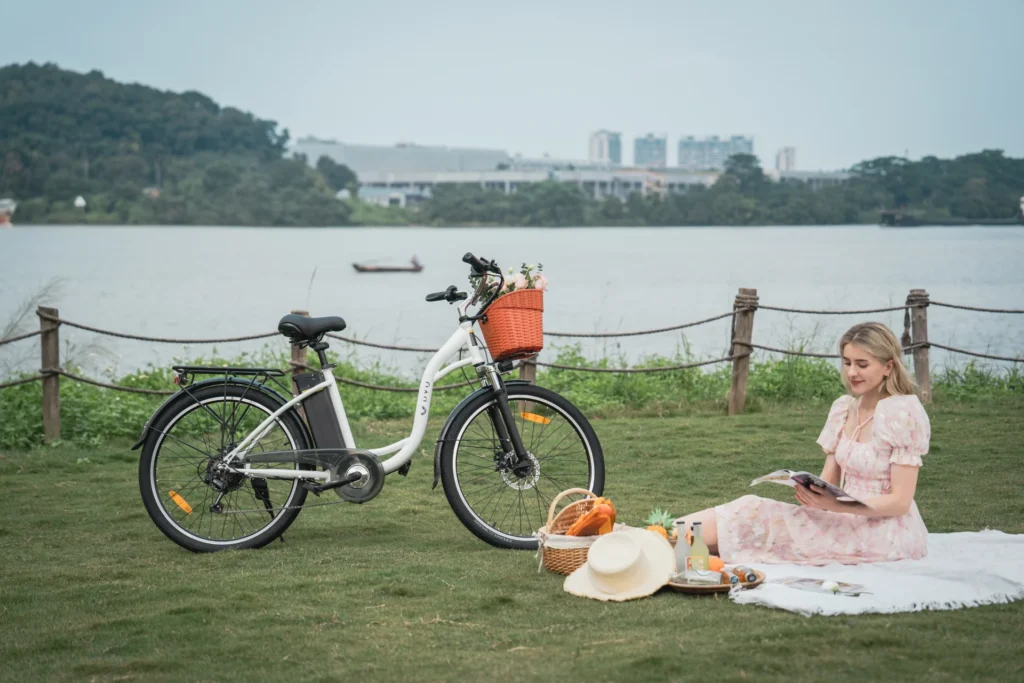 Modifiche Cargo per E-Bike: Come Installare Portapacchi, Cestini e Aggiornamenti Heavy-Duty 5